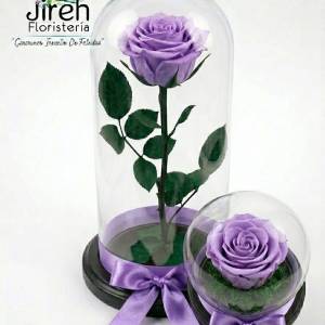 Rosa Preservada Lavanda: Espiritualidad y Distinción