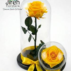 Rosa Preservada Sunset: Elegancia Eterna en Cúpula de Cristal