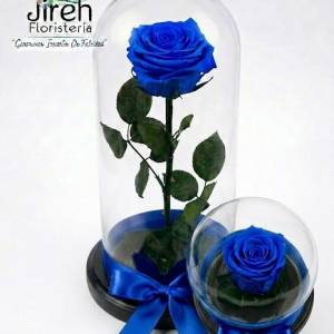 Rosa Preservada Royal Blue: Magia y Lealtad en Cúpula de Cristal