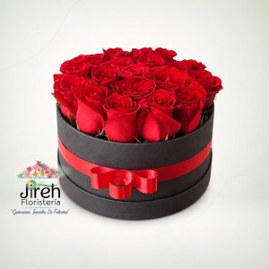 Box de Rosas Rojas Cilíndrico con Cinta Roja — A domicilio en Cali