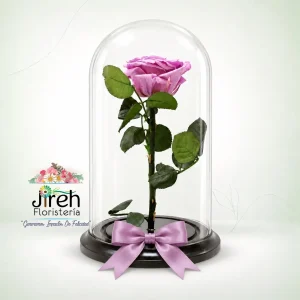 Rosa preservada color lila a domicilio en Cali