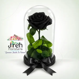 Rosa eterna negra preservada en urna de cristal a domicilio en Cali