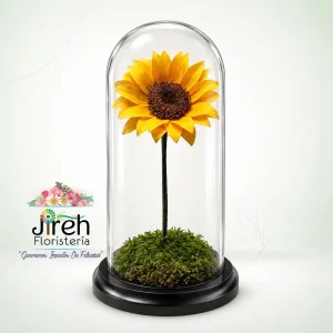Girasol Inmortalizado a domicilio en Cali
