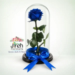Flor, Rosa Inmortalizada Azul a Domicilio en Cali