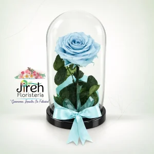 Rosa preservada azul claro a domicilio en Cali