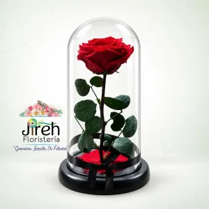 Rosa eterna roja para sorpresa, aniversario a domicilio en Cali