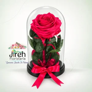 Rosa eterna rosa a domicilio en Cali